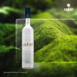 395160482_170446292803955_5958261630862765561_n